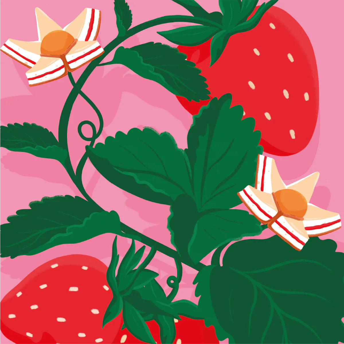 Strawberry Cheesecake Muesli - Image 6